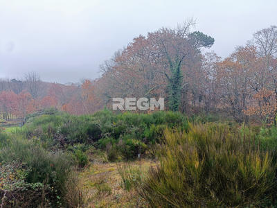 Terrain - 2 247 m²