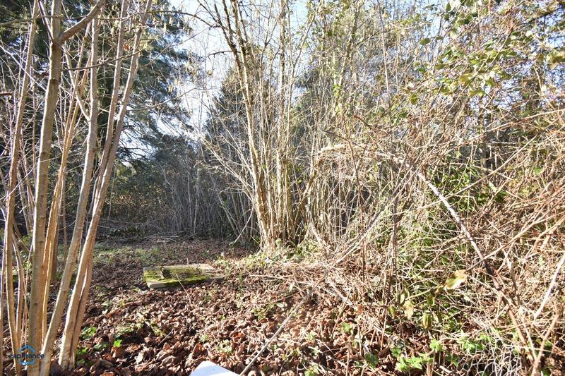 Terrain constructible - 3 000 m²