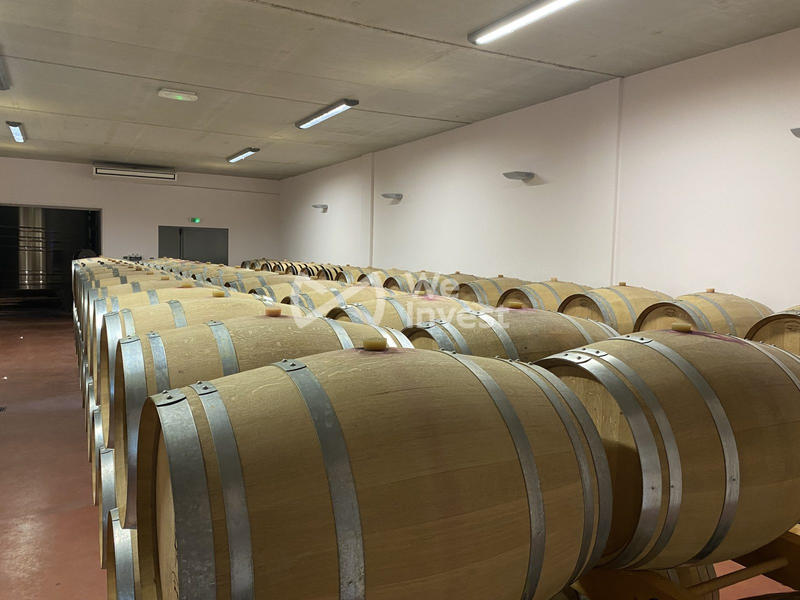 Maison - 1 000 m² - 4 pièces