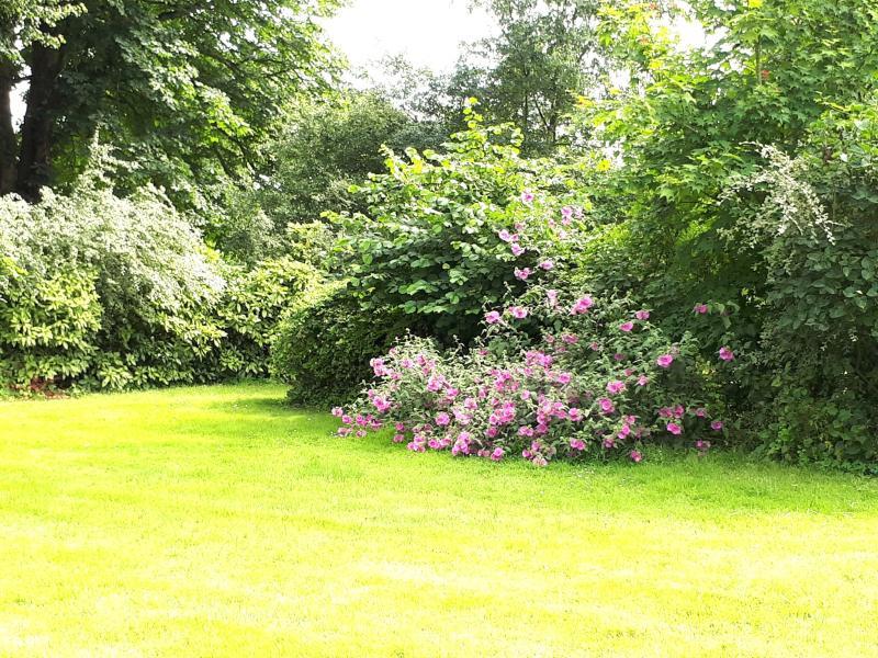 Maison - 216 m² - 7 pièces