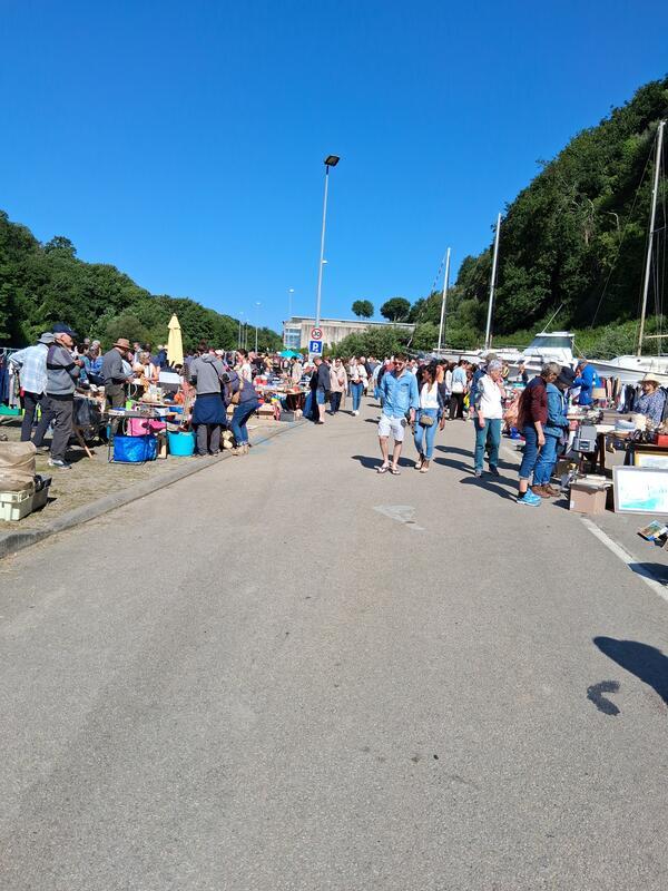 Vide-grenier et puces de mer