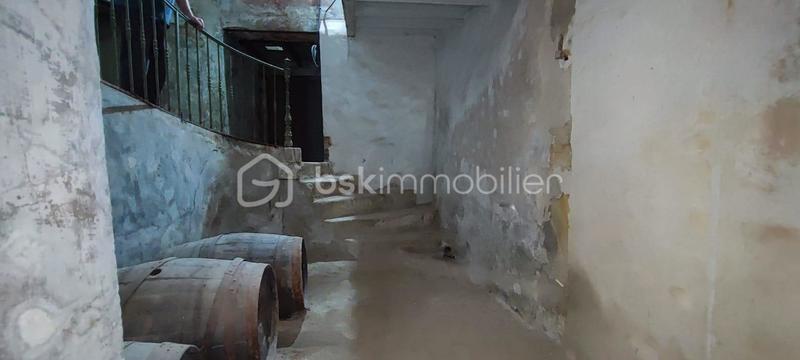 Maison - 350 m² - 15 pièces