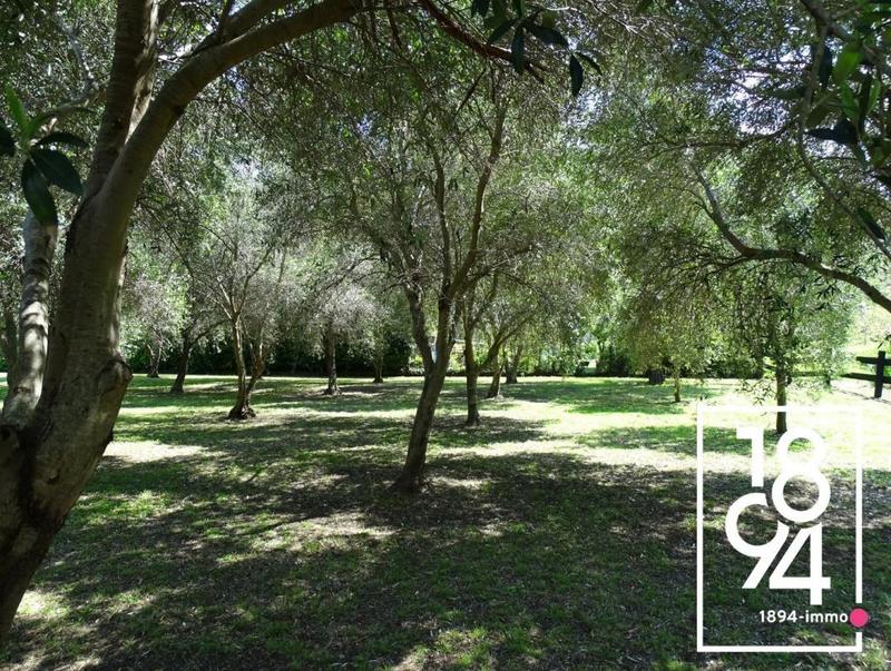 Maison - 126 m² - 3 pièces