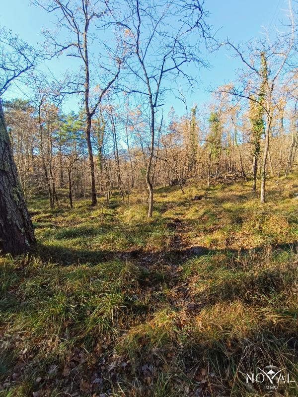 Terrain - 18 190 m²