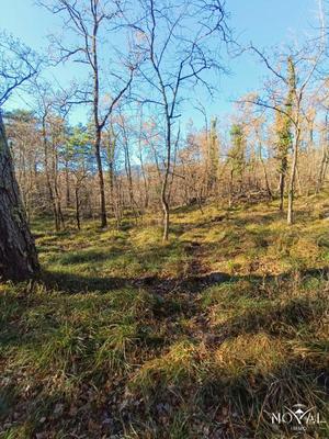 Terrain - 18 190 m²