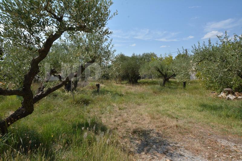 Terrain - 466 m²