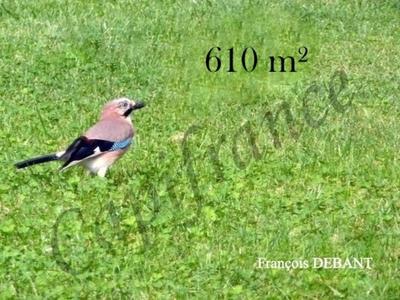 Terrain constructible - 610 m²