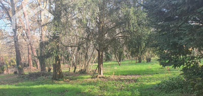 Maison - 148 m² - 2 pièces