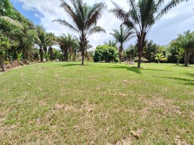 Terrain constructible - 15 221 m²