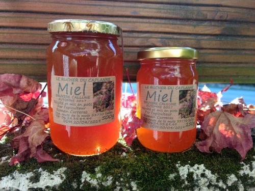 Le Rucher du Caplanne