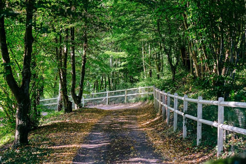 Maison - 231 m² - 8 pièces