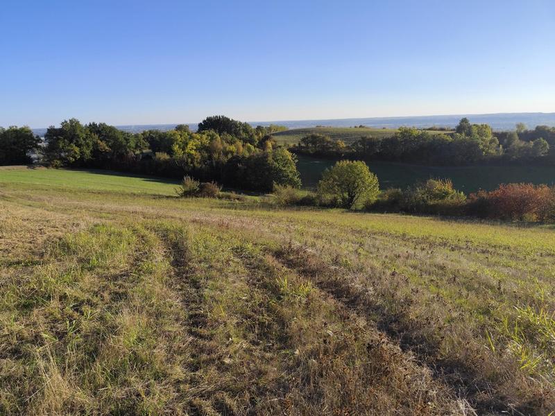 Terrain agricole - 219 900 m²