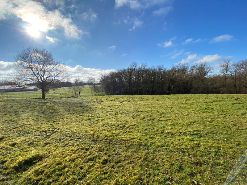 Terrain constructible - 1 561 m²