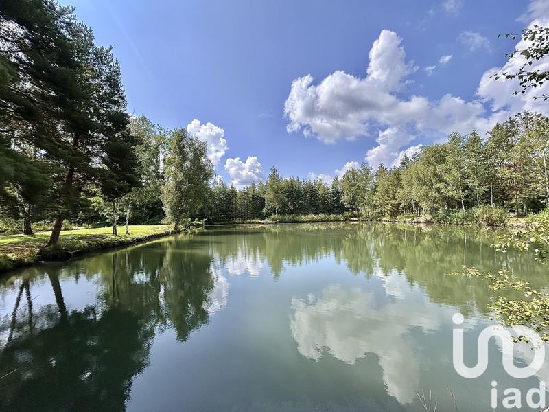 Terrain - 10 393 m²