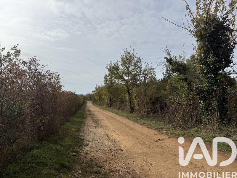 Terrain - 991 703 m²