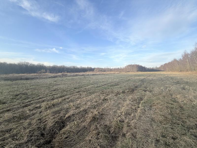 Longère - 300 m² - 12 pièces