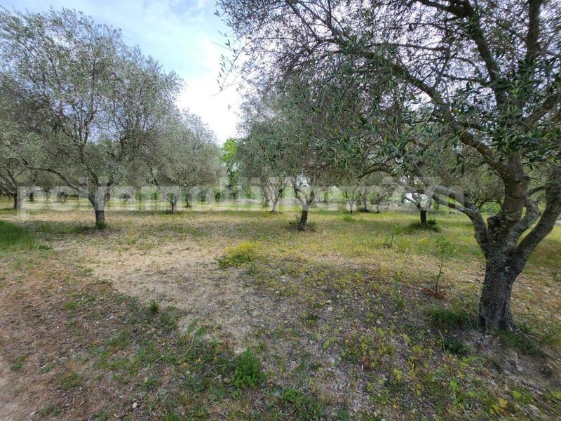 Bastidon - 54 m² - 3 pièces