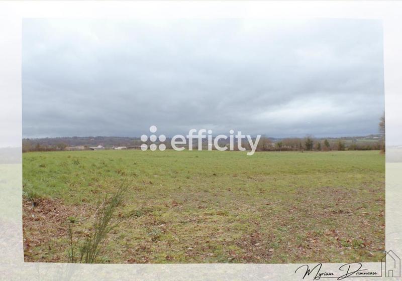 Terrain - 10 000 m²