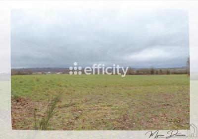 Terrain - 10 000 m²