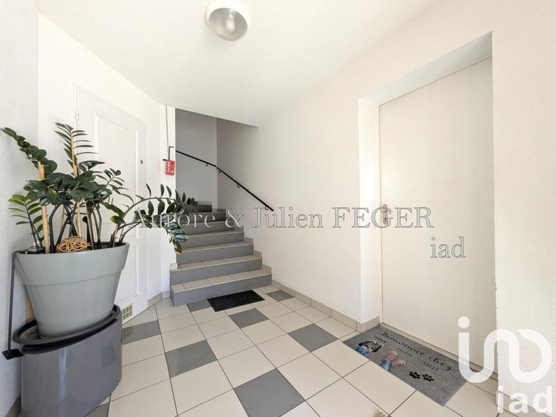 Appartement - 50 m² - 2 pièces