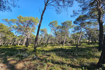 Terrain - 14 830 m²