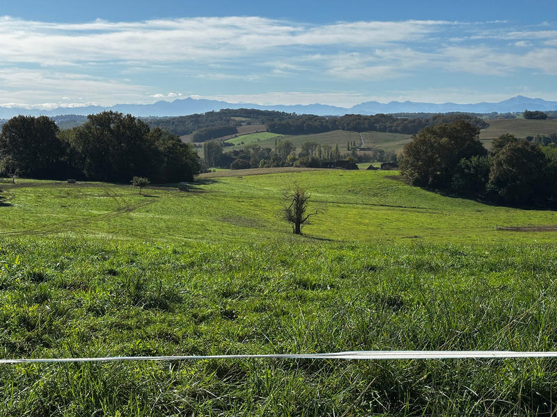 Terrain constructible - 1 035 m²