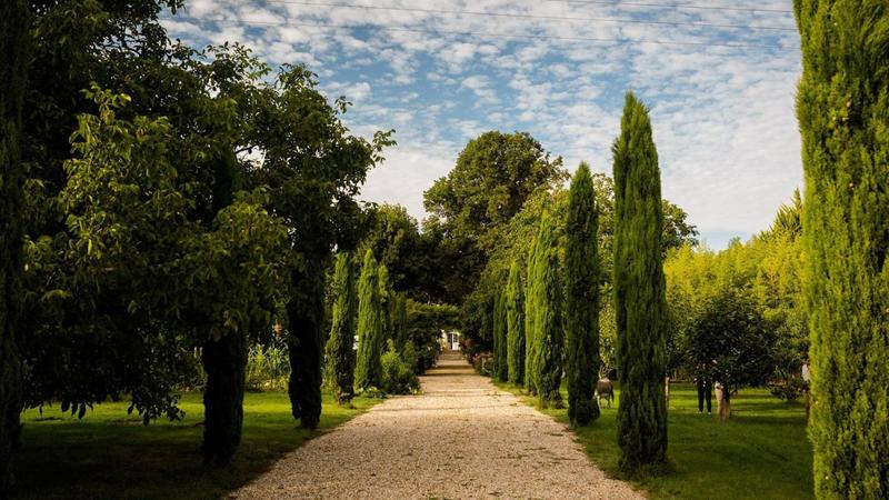 Demeure - 950 m² - 14 pièces