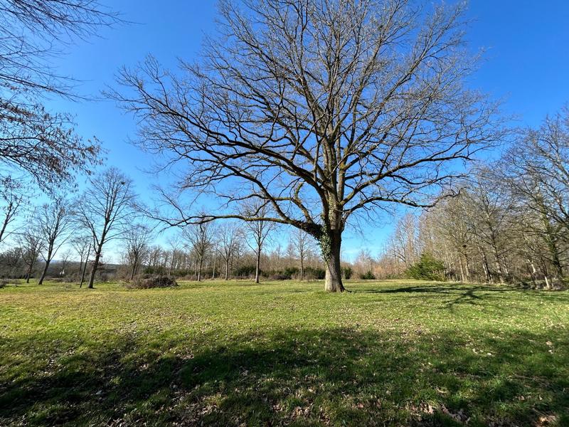 Maison - 207 m² - 9 pièces