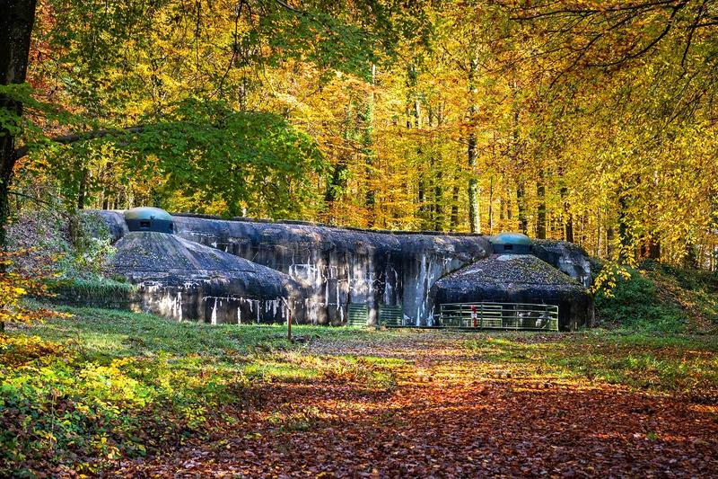 Visite guidée du Fort de Schoenenbourg