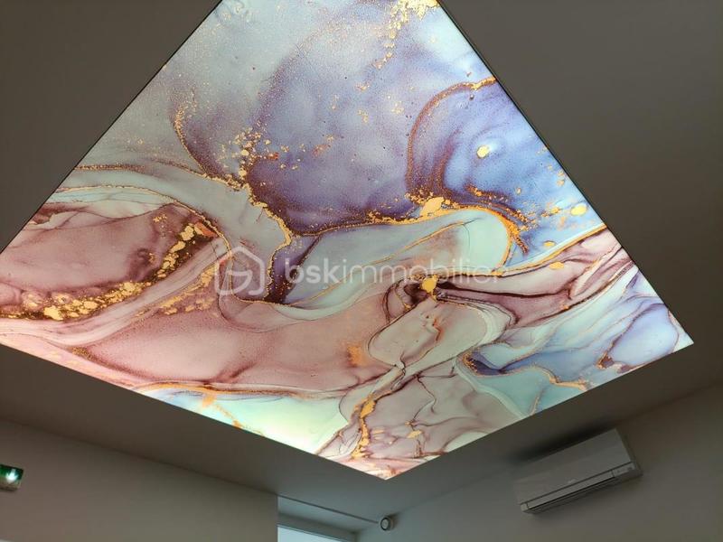 Local commercial - 226 m² - 10 pièces