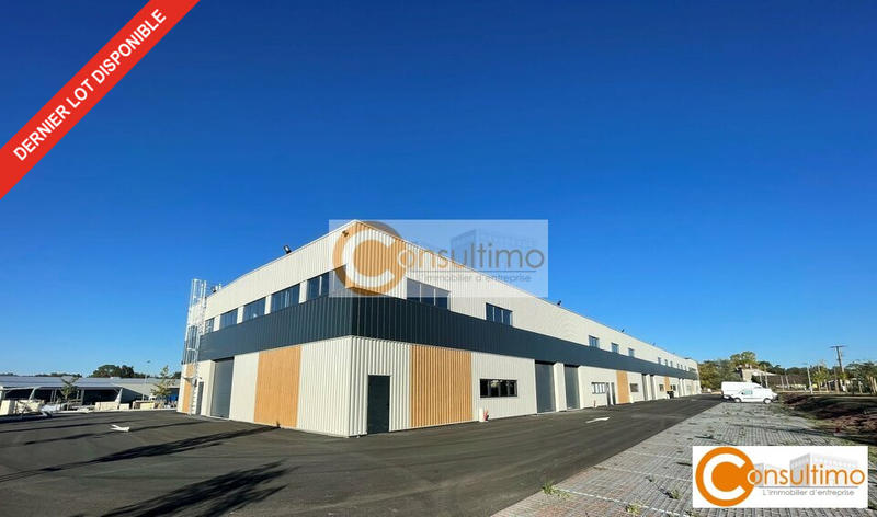 Local d'activité / Entrepôt - 374 m²