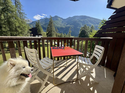 Appartement - 31 m² - 2 pièces