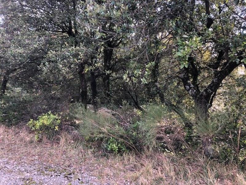 Terrain - 10 420 m²