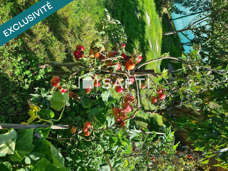 Maison - 67 m² - 3 pièces