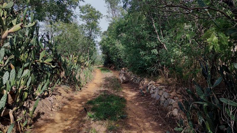 Terrain de loisirs - 20 959 m²