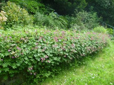 Demeure - 170 m² - 9 pièces