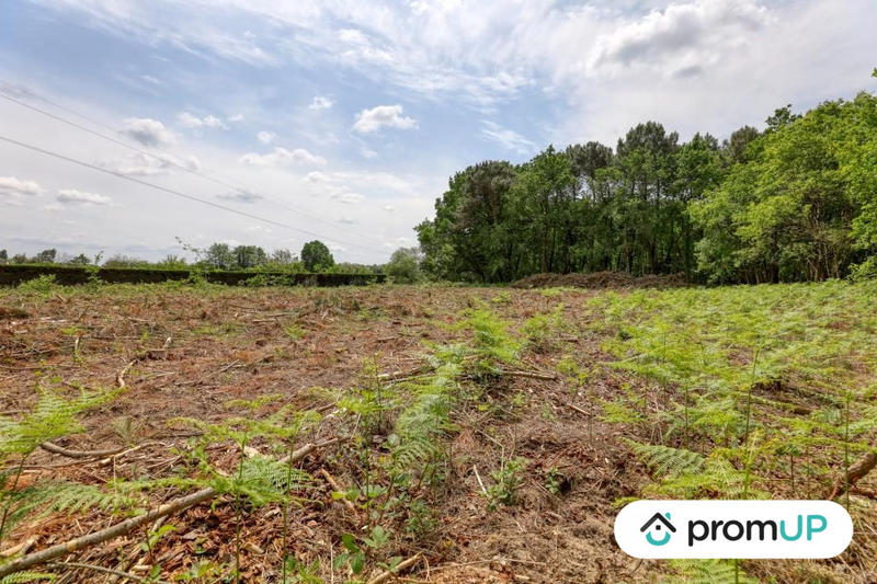 Terrain de loisirs - 4 000 m²