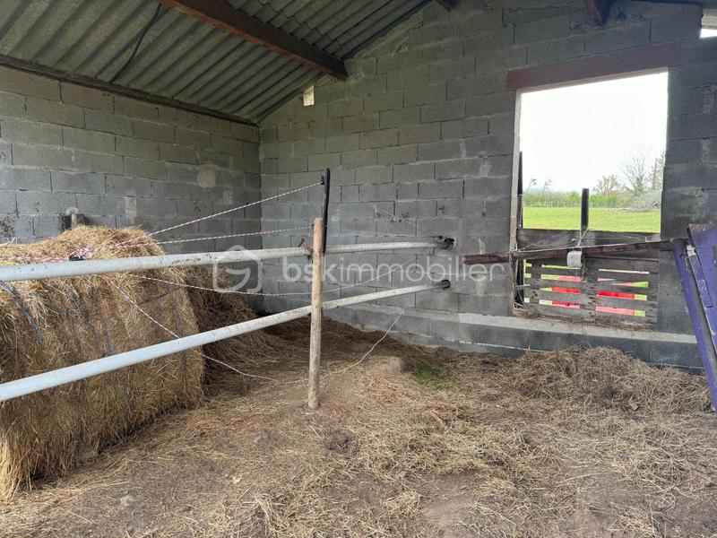 Maison en pierre - 322 m² - 10 pièces