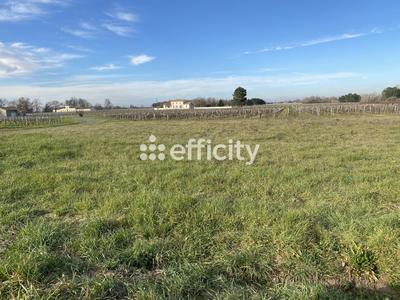 Terrain - 575 m²