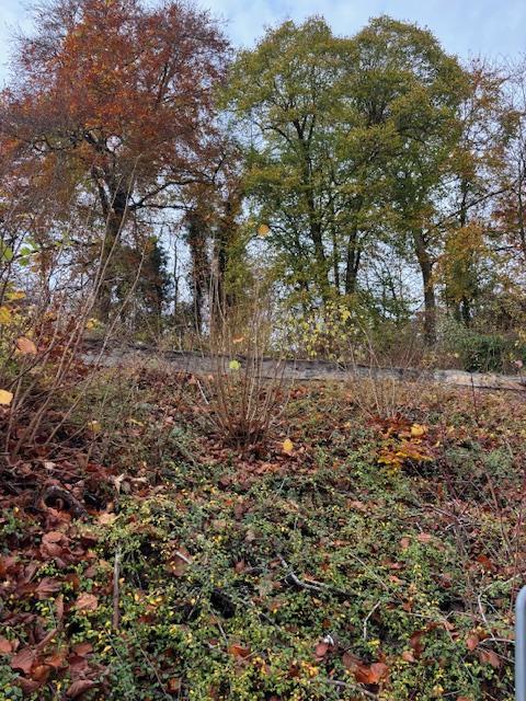 Pavillon - 87 m² - 4 pièces