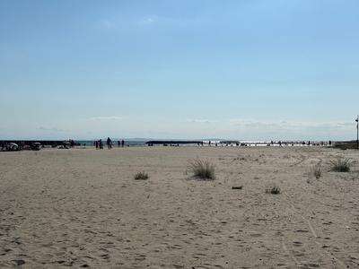 Terrain constructible - 586 m²