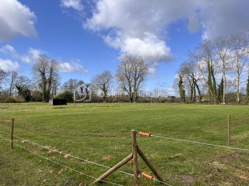 Ferme - 140 m² - 5 pièces