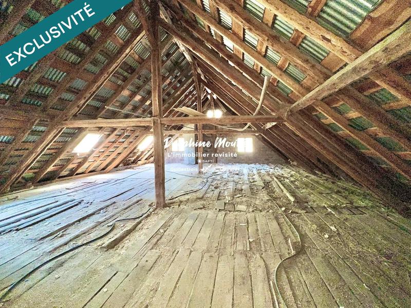 Local commercial - 1 610 m² - 46 pièces