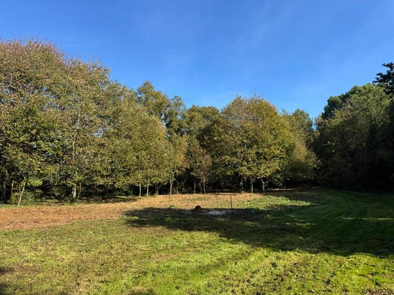 Propriété - 110 m² - 5 pièces