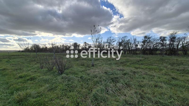 Maison - 40 m² - 2 pièces