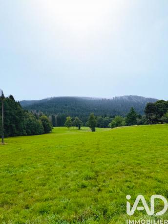 Terrain - 19 000 m²