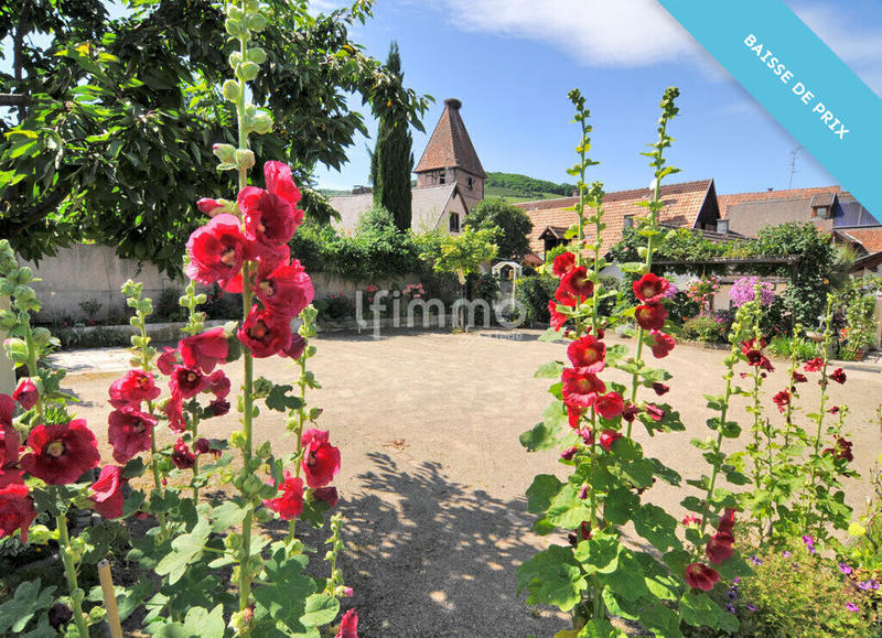 Immeuble - 428 m² - 17 pièces