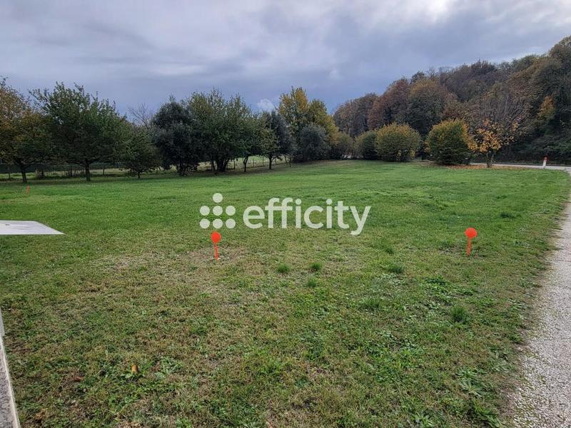 Terrain - 6 000 m²