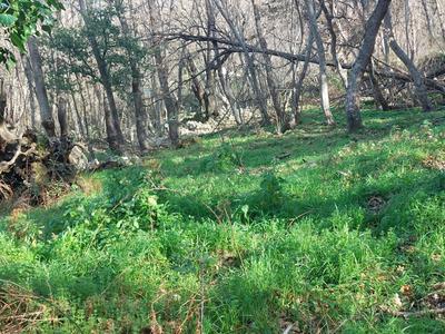 Terrain constructible - 1 100 m²