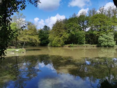 Terrain - 17 700 m²